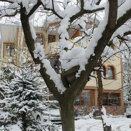 Beyzade & *