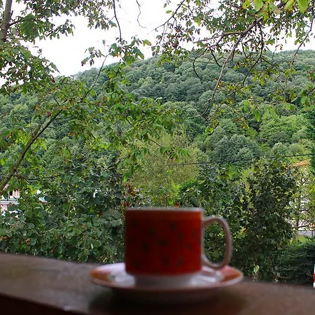 Beyzade & Dağ evi *