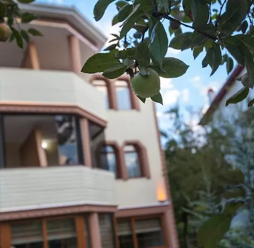 Beyzade & בקתה *