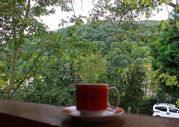 Beyzade & בקתה *