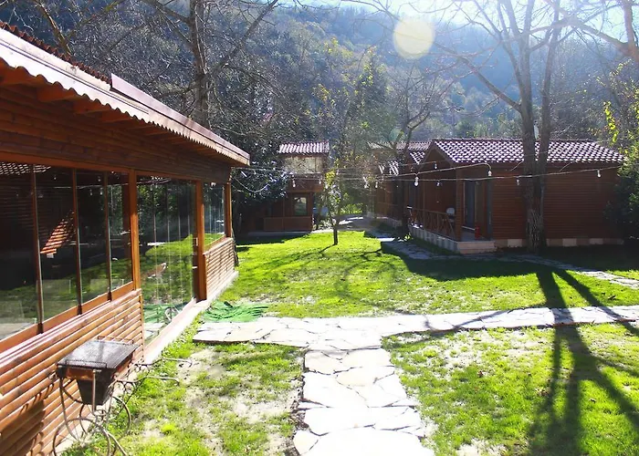 Beyzade & בקתה *