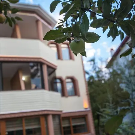 Beyzade & シャレー *