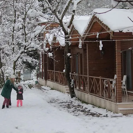 シャレー Beyzade &