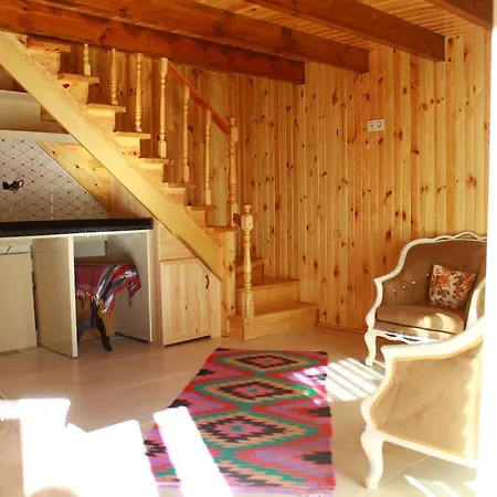 Beyzade & シャレー