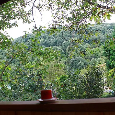 Beyzade & シャレー *