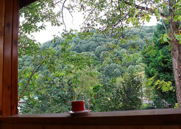 Beyzade & בקתה *